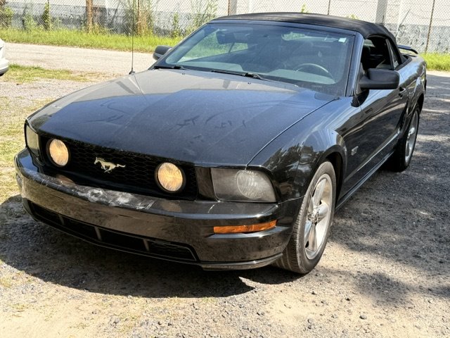 2008 Ford Mustang GT Deluxe's photo